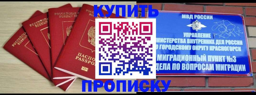 временная регистрация для всех в Заинске